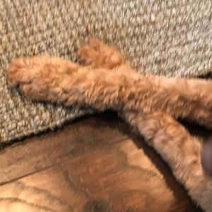 Meet your Posher, Jamie